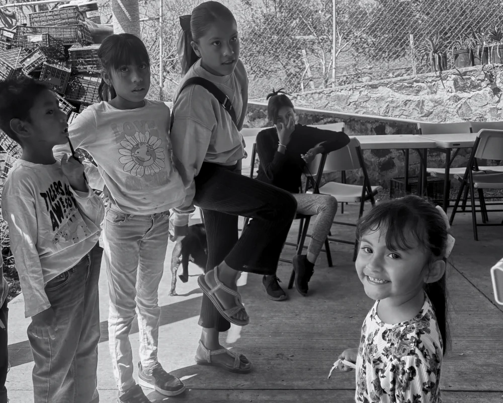 Mezcala x nutrivve.zip - 3